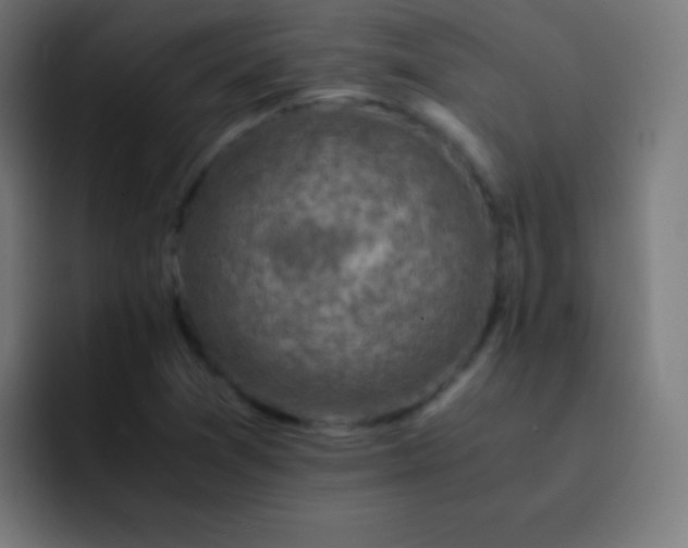 X0000093241361200710101414