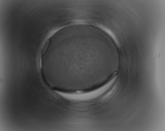X0000093241365200710101414