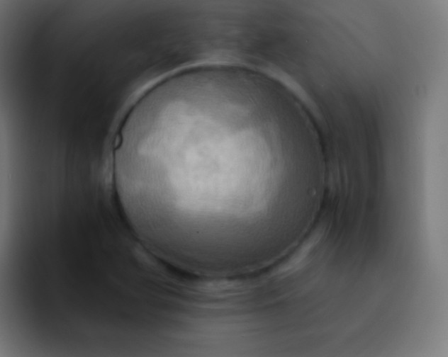 X0000093241366200710101414