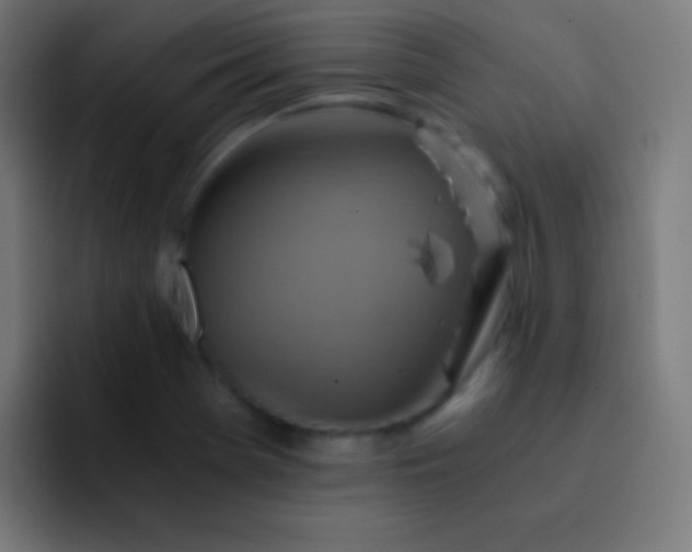 X0000093241369200710101414