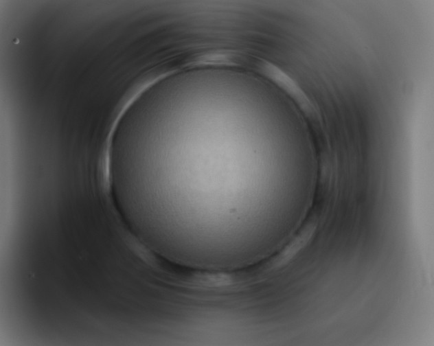 X0000093241370200710101414