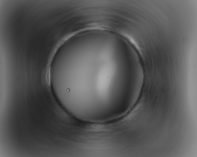 X0000093241371200710101414