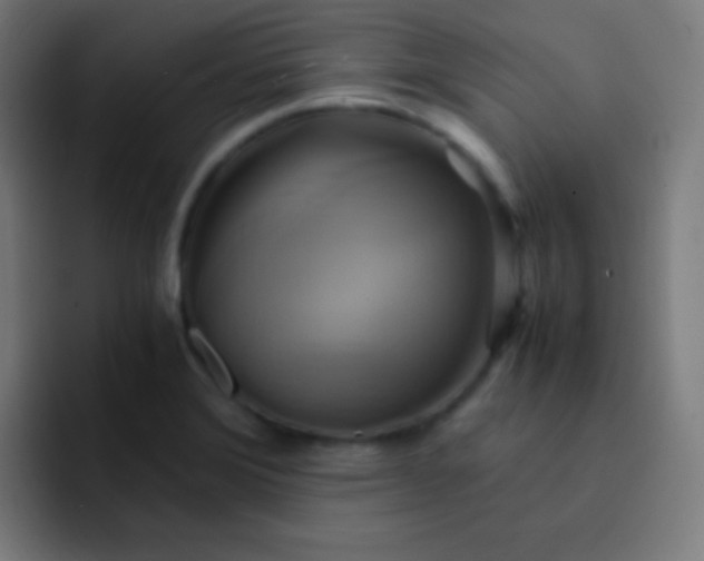 X0000093241372200710101414