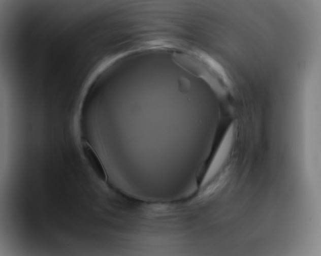 X0000093241373200710101414