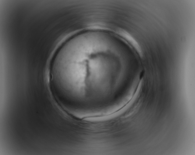 X0000093241376200710101414
