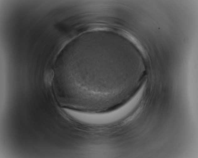 X0000093241377200710101414