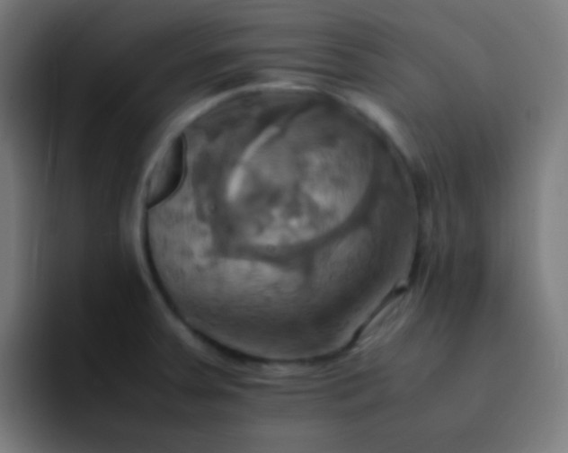 X0000093241379200710101414