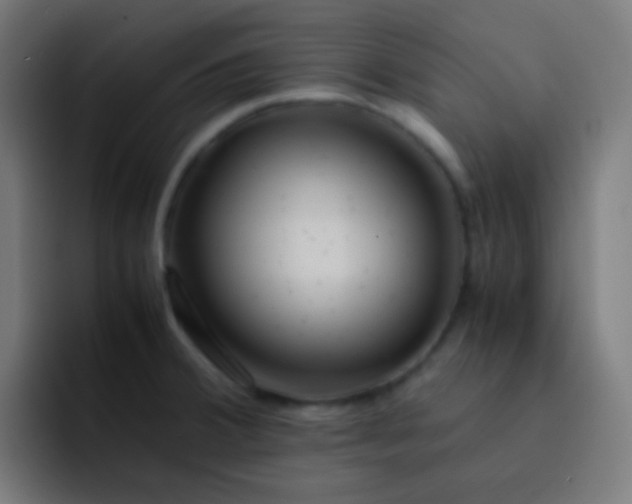 X0000093241380200710101414