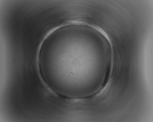 X0000093241381200710101414