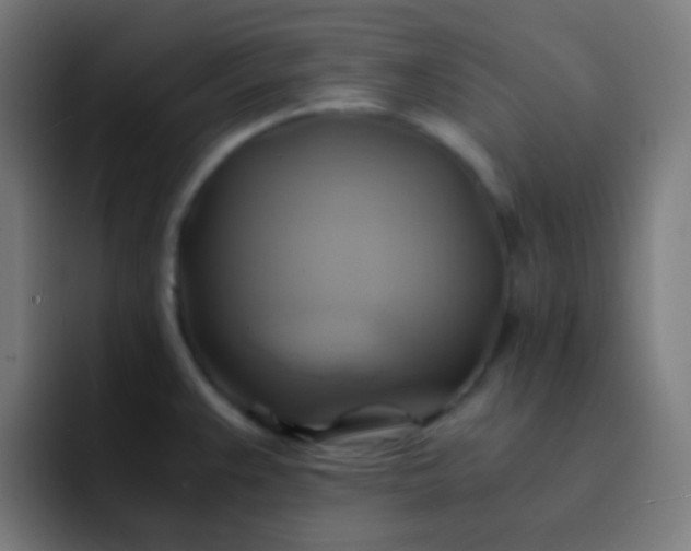 X0000093241383200710101414
