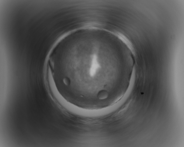 X0000093241384200710101414