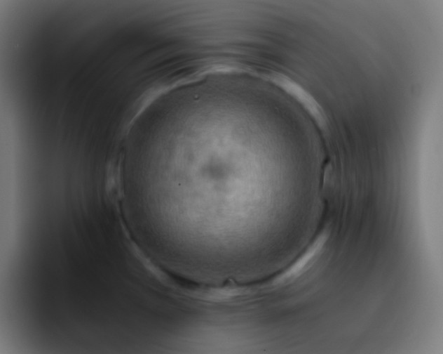 X0000093241385200710101414