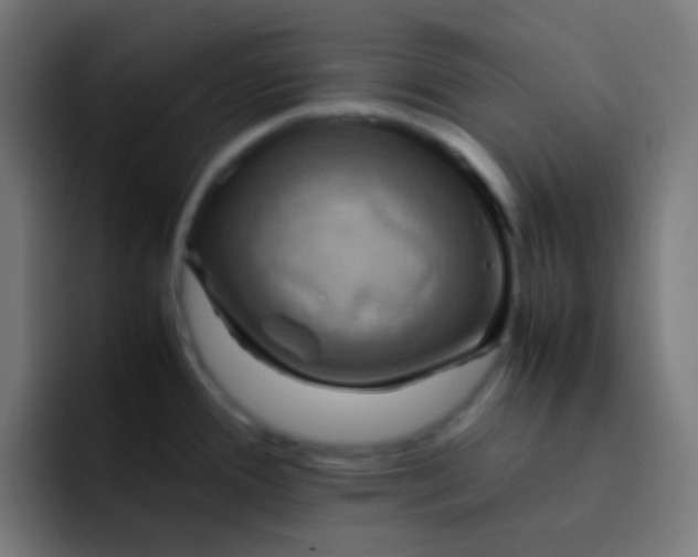 X0000093241388200710101414