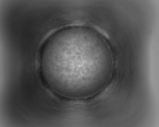 X0000093241400200710101413