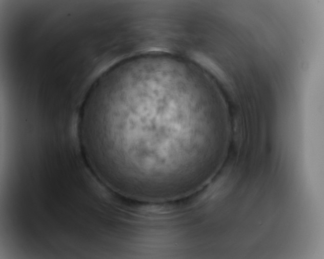 X0000093241404200710101413