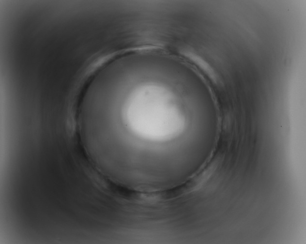 X0000093241407200710101413
