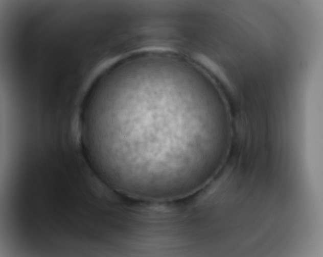 X0000093241408200710101413