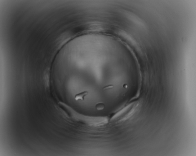 X0000093241409200710101413