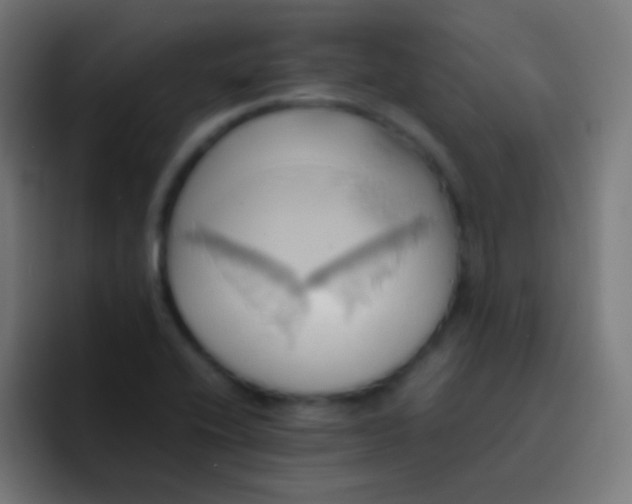 X0000093241416200710101413