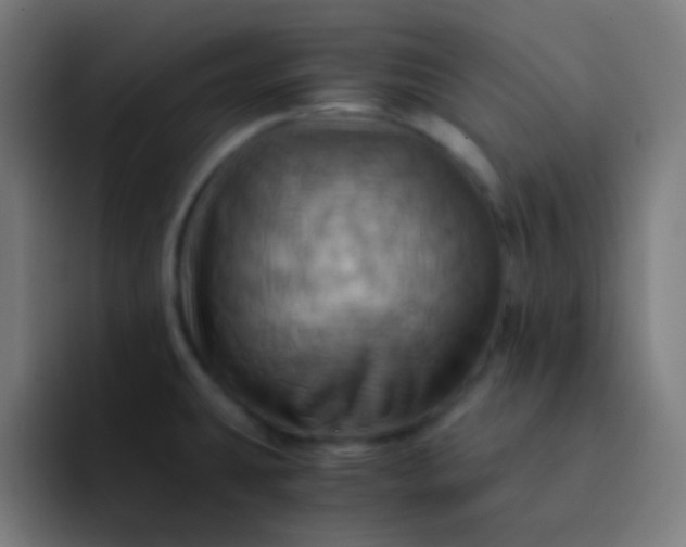 X0000093241431200710101414