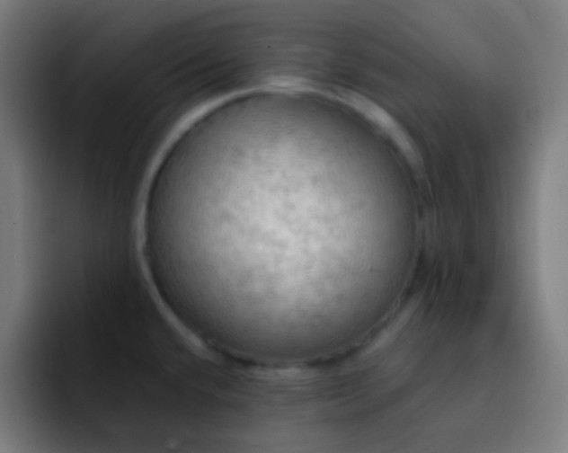 X0000093241432200710101414
