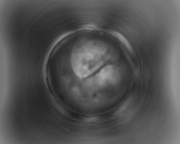 X0000093241435200710101414
