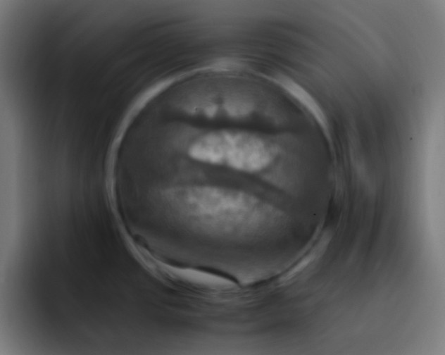 X0000093241437200710101414