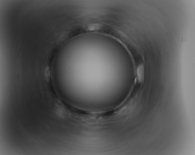 X0000093241443200710101413