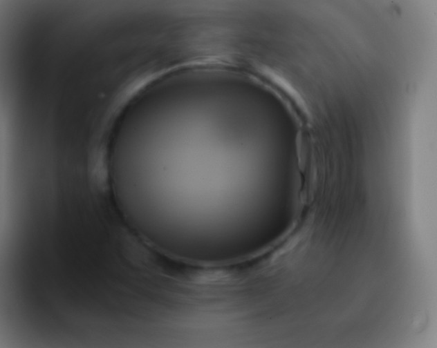 X0000093241455200710101413