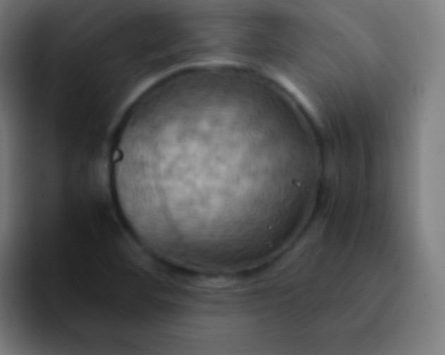 X0000093241460200710101413