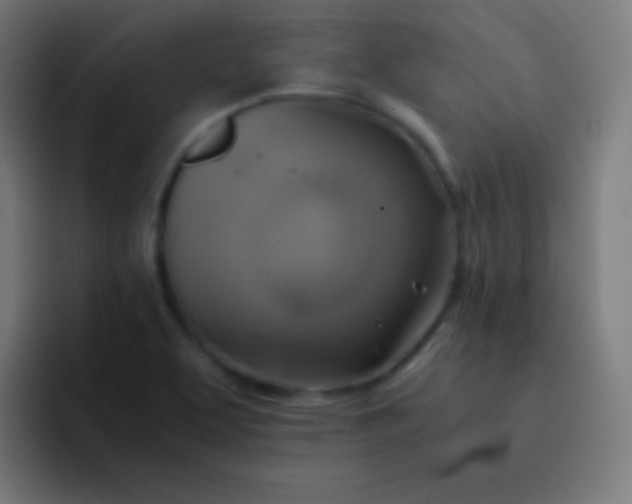 X0000093241463200710101413