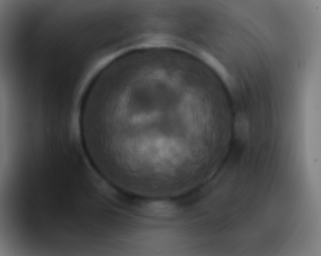 X0000093241464200710101413