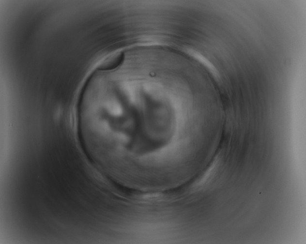 X0000093241467200710101413