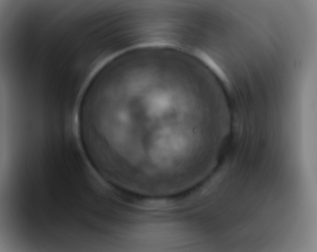 X0000093241468200710101413