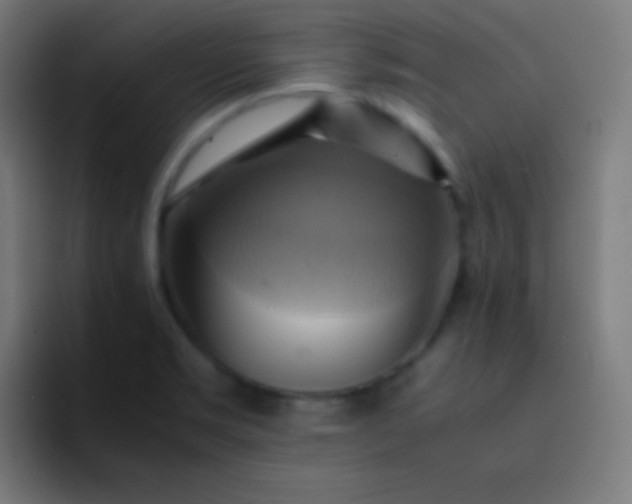X0000093241469200710101413