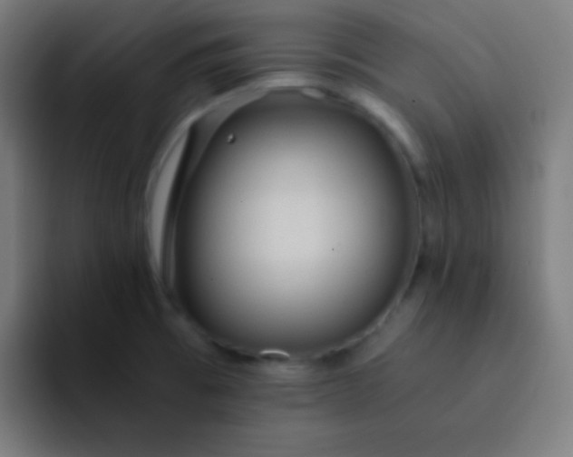 X0000093241473200710101413