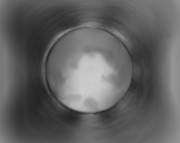 X0000093241478200710101413