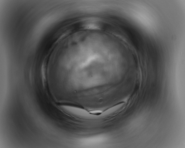 X0000093241487200710101413