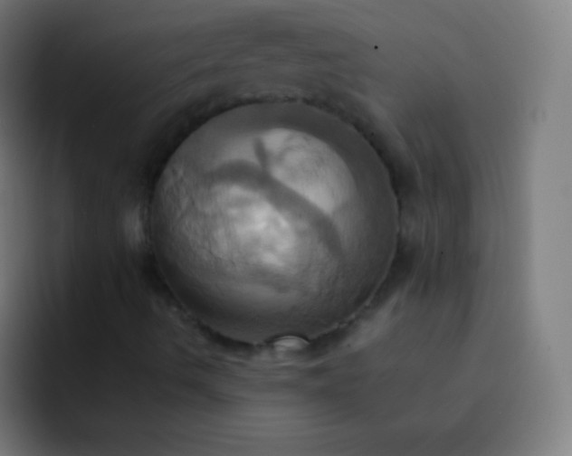 X0000093241490200710101412