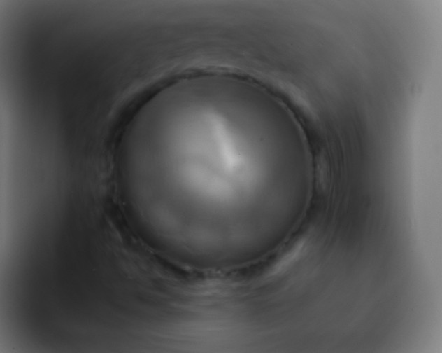 X0000093241494200710101412