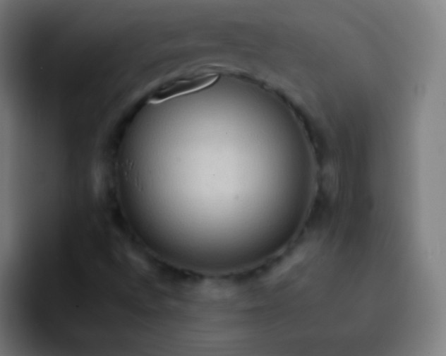 X0000093241496200710101412
