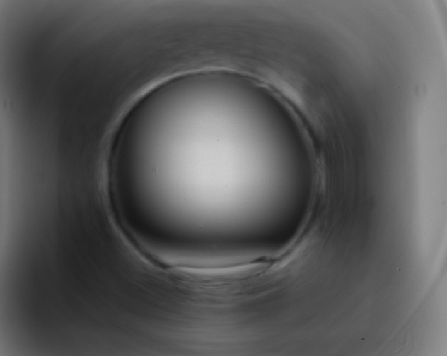 X0000093241500200710101412