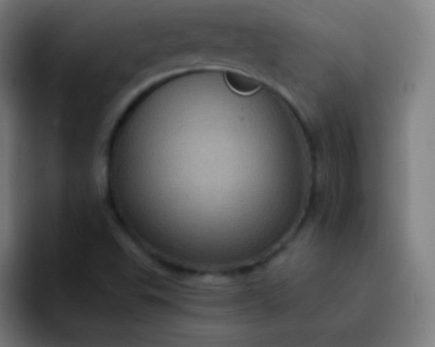 X0000093241503200710101412