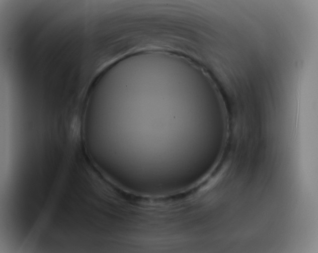 X0000093241505200710101412