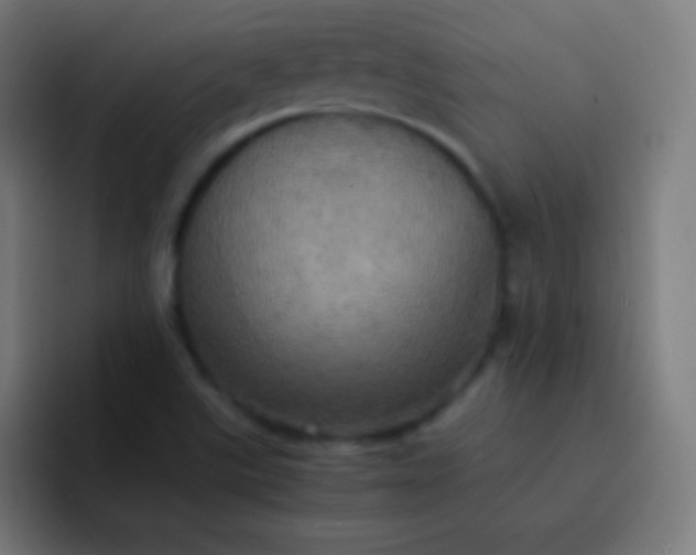 X0000093241507200710101412