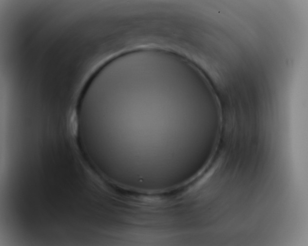 X0000093241509200710101412