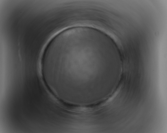 X0000093241517200710101412