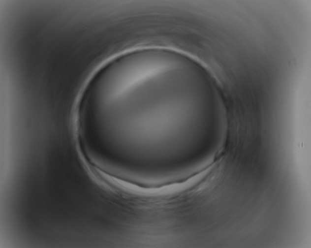 X0000093241519200710101412