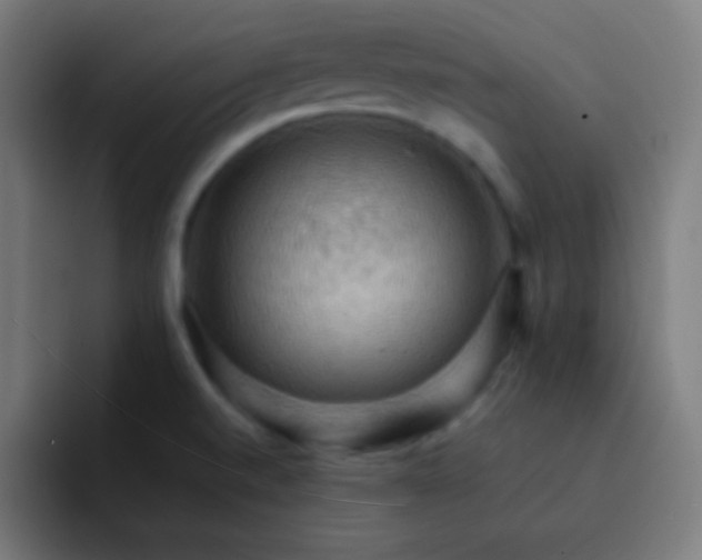 X0000093241520200710101412