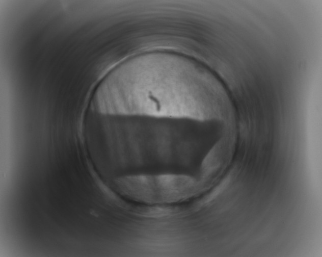 X0000093241521200710101412